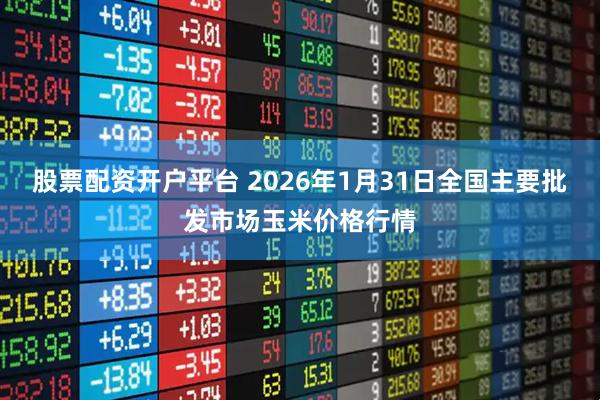 股票配资开户平台 2026年1月31日全国主要批发市场玉米价格行情