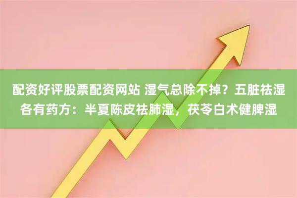 配资好评股票配资网站 湿气总除不掉？五脏祛湿各有药方：半夏陈皮祛肺湿，茯苓白术健脾湿