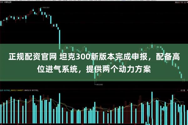 正规配资官网 坦克300新版本完成申报，配备高位进气系统，提供两个动力方案